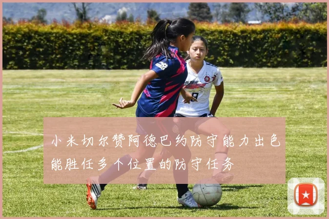 小米切尔赞阿德巴约防守能力出色能胜任多个位置的防守任务